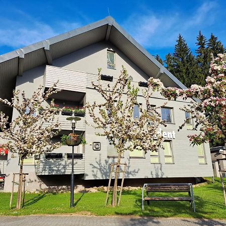 Wellness Apartment Josefina - Free Grotta Spa Wellness Harrachov Extérieur photo