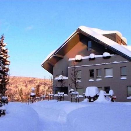 Wellness Apartment Josefina - Free Grotta Spa Wellness Harrachov Extérieur photo