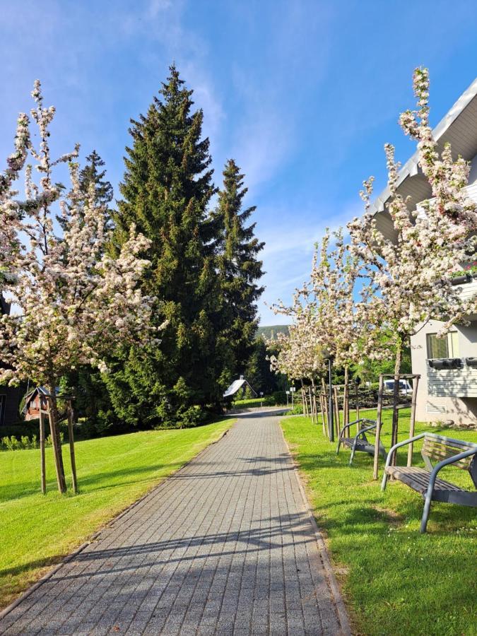 Wellness Apartment Josefina - Free Grotta Spa Wellness Harrachov Extérieur photo